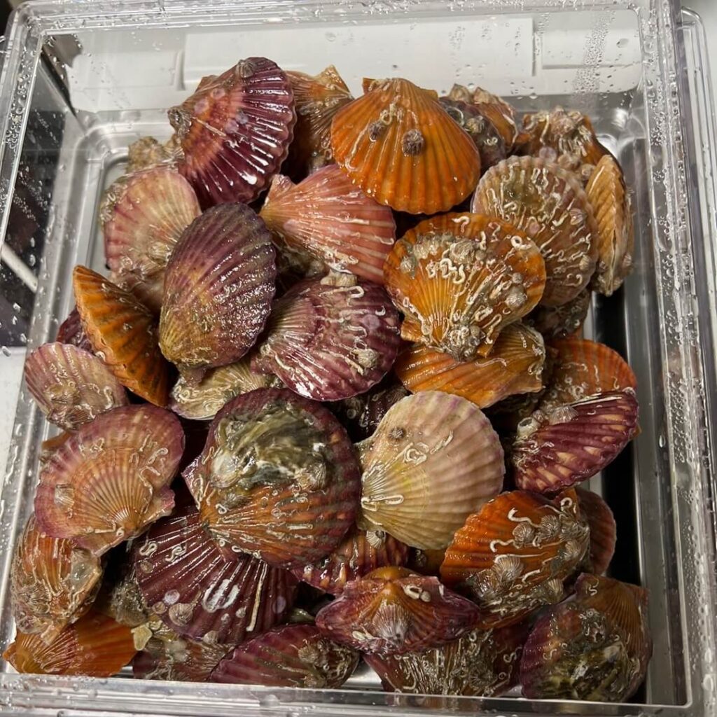 蒸し器に入れたホタテの様子