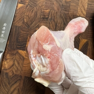 닭다리아래쪽의 모습