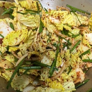 白菜とネギの浅漬けを薬味と一緒に和えたもの。