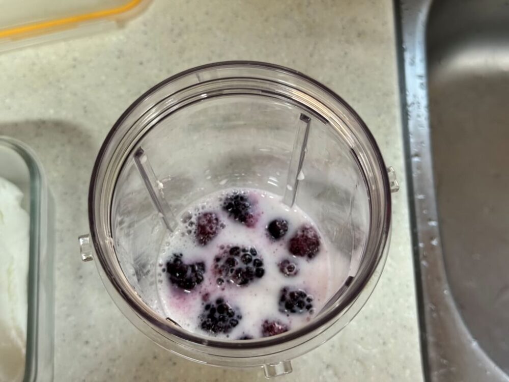 Blueberries in Plain Lara Seed